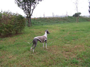 DSCF3159.JPG
