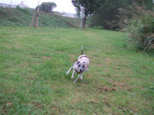 DSCF3161.JPG