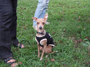 DSCF3179.JPG