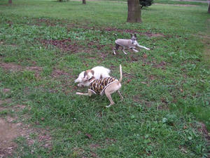 DSCF3181.JPG