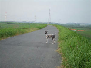 DSCF3191.JPG