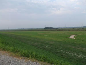 DSCF3192.JPG