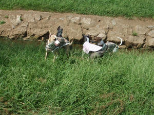 DSCF3199.JPG