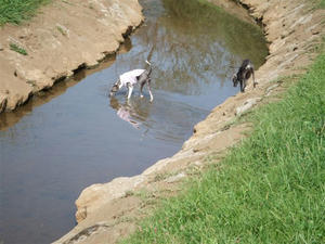 DSCF3207.JPG