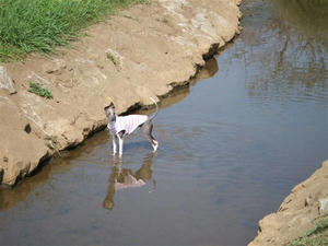 DSCF3208.JPG