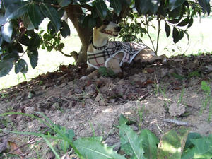 DSCF3216.JPG