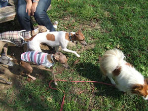 DSCF3219.JPG
