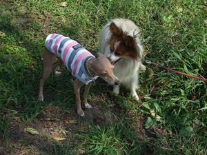 DSCF3221.JPG