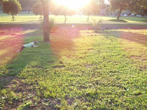DSCF3287.JPG
