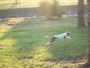 DSCF3290.JPG