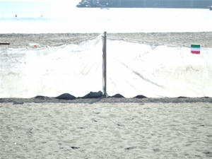 DSCF3314.JPG