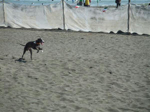 DSCF3322.JPG