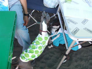 DSCF3326.JPG