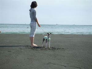 DSCF3335.JPG