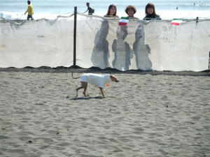 DSCF3320.JPG