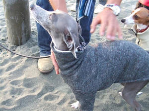 DSCF3386.JPG