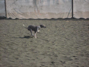IMG_9136.JPG