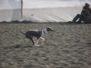 IMG_9137.JPG