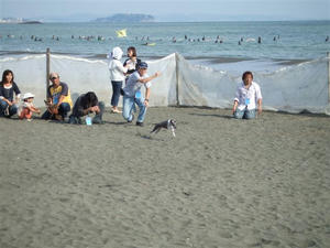 DSCF3371.JPG