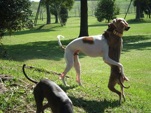 DSCF3399.JPG
