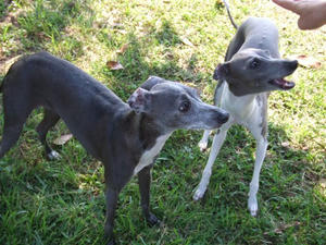DSCF3405.JPG