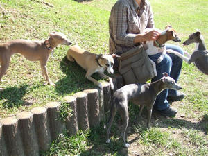 DSCF3417.JPG