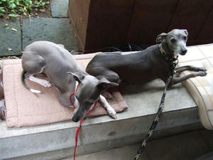 DSCF3446.JPG