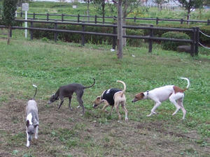 DSCF3500.JPG
