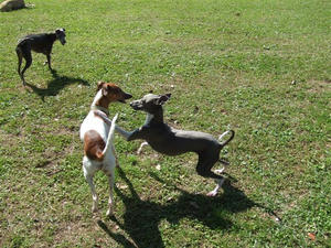 DSCF3408.JPG