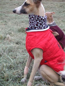 DSCF3475.JPG