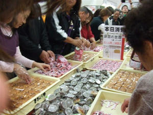 DSCF3505.JPG