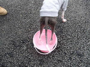 DSCF3513.JPG