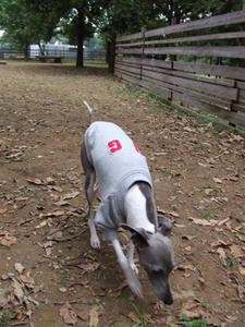 DSCF3519.JPG