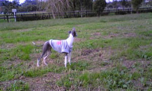 071020_150148.jpg