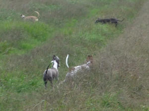 DSCF3640.JPG