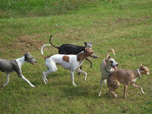 DSCF3639.JPG
