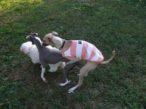 DSCF3647.JPG