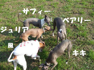 DSCF3839.JPG
