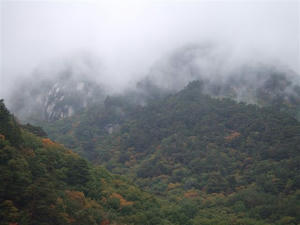DSCF3842.JPG