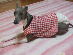DSCF3940.JPG