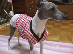 DSCF3937.JPG