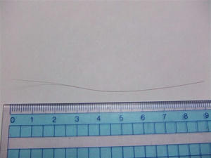 DSCF4032.JPG
