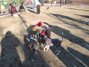 DSCF4034.JPG