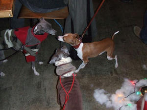 DSCF4058.JPG