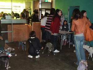 DSCF4242.JPG