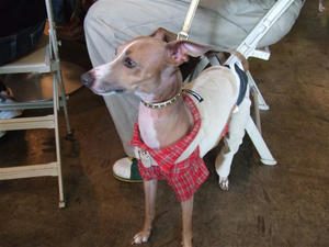 DSCF4258.JPG