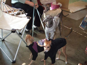 DSCF4243.JPG