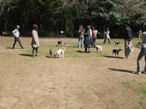 DSCF4513.JPG