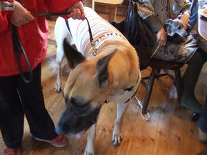 DSCF4522.JPG