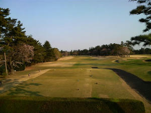 2008041416440001.jpg